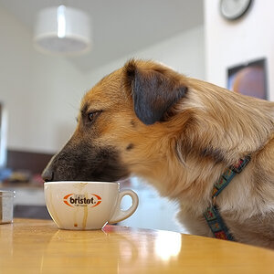 lecker Cappuccino