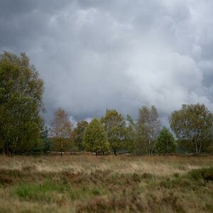 Detuscher Herbst # 3" Original