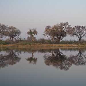 namibia 42