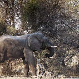 namibia 45