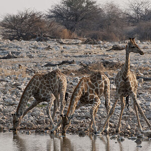namibia 57