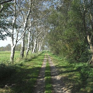 DierhagenDorf Feldweg 0196 111002 1024x685