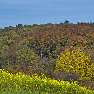 herbst 2011