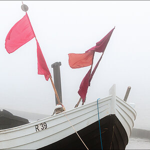 Nebel 3