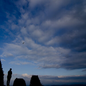 Uetliberg 1