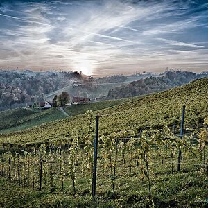 Südsteirische Weinstraße