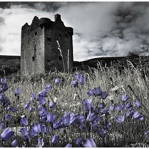 Gleninagh Castle
