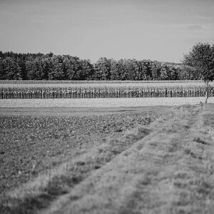 DSC 7786 web crop
