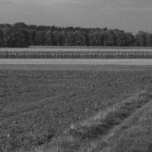DSC 7790 web crop1