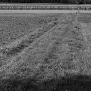DSC 7785 web crop2