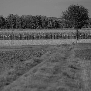 DSC 7786 web crop3