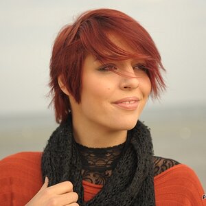 DSC 0313