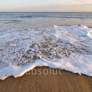 wave