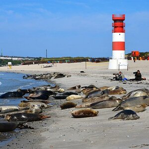 Helgoland 14.06.11 (35)