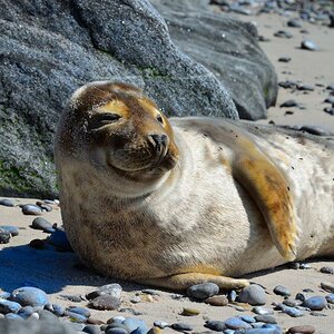 Helgoland (24)