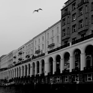 DSC 8279 web bw crop