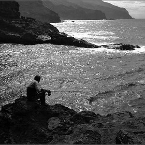 Fischer, La Palma