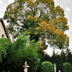 c DSC 0504 001
