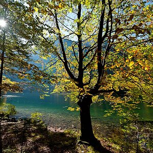 Farben im Herbst - Fortsetzung