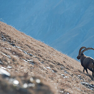 DSC 5023 2ks f