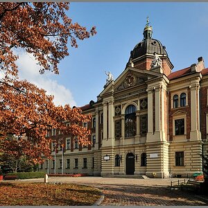 Uniwersytet Ekonomiczny w Krakowie
Wirtschaftsuniversität Krakau