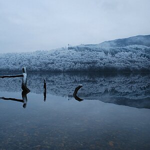 Winterlicher "Spiegelsee"