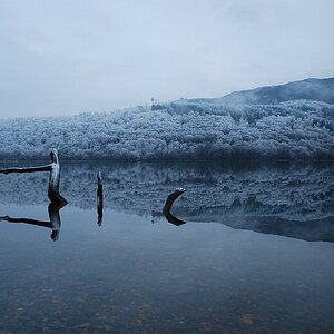 Winterlicher "Spiegelsee"