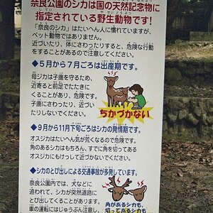 Schild Nara