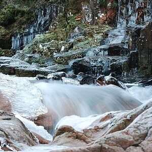 Wo der Wildbach rauscht