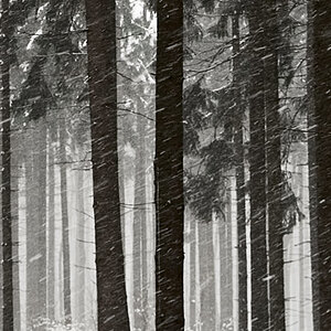 071114 Schnee 05a