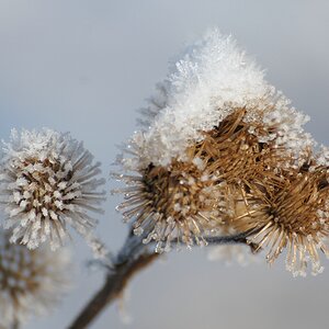 comp Ausflug 317Winter1