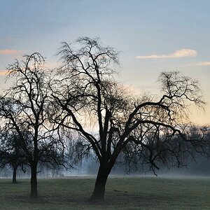 Emslandnebel 6