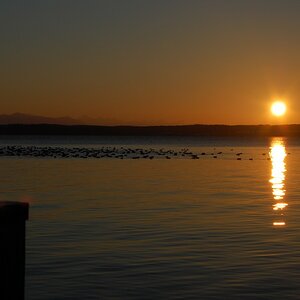 Starnberger See 1