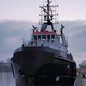 schiff2