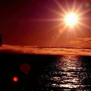 Golden Gate
