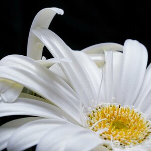 DSC3299test