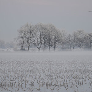 Winterlandschaft 2
2009-01-09_16-53-13-1
