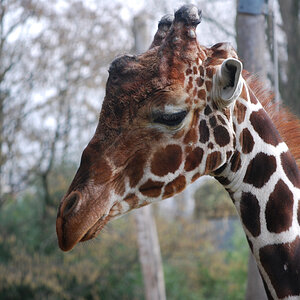 Zoo Duisburg 01