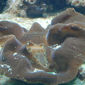 Zoo Duisburg 02