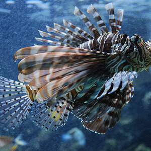 Zoo Duisburg 03