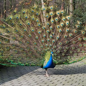 Zoo Duisburg 07