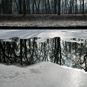 20090116 125022 Nymphenburg