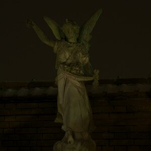 DSC 0536
