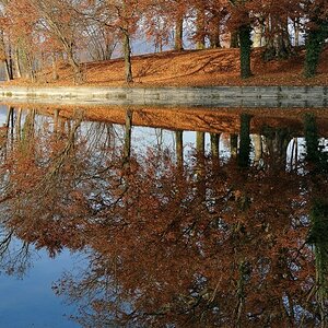 Herbstspiegelung