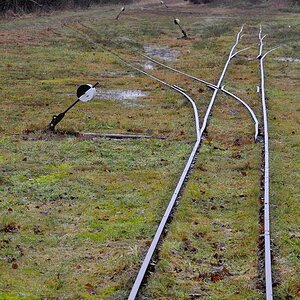 D30 7033a f:  Bahn im Tister Moor