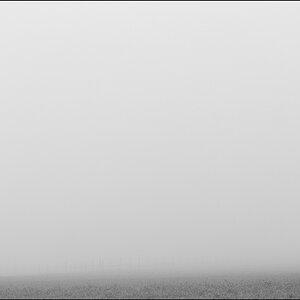 NebelDSC 0482