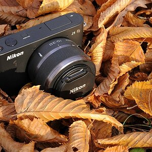 Nikon J1 mit 10-30mm