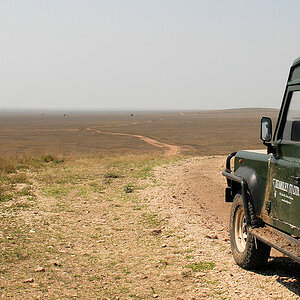 Serengeti Plains
2478