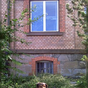Vali Haus