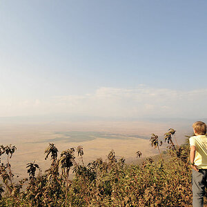 Blick in den Ngorongoro Krater
5569